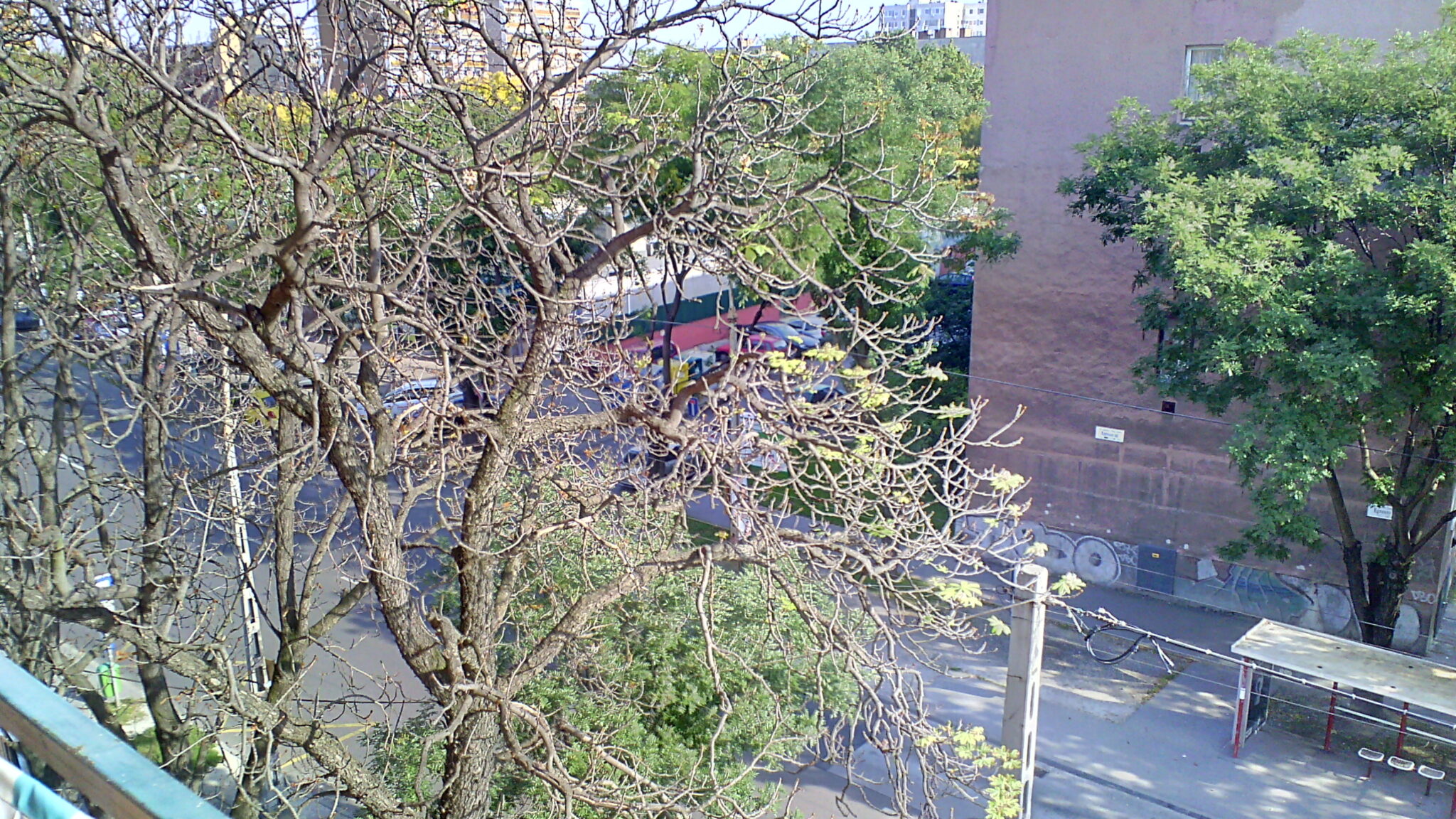 Acer Liquid Z5 Dual SIM