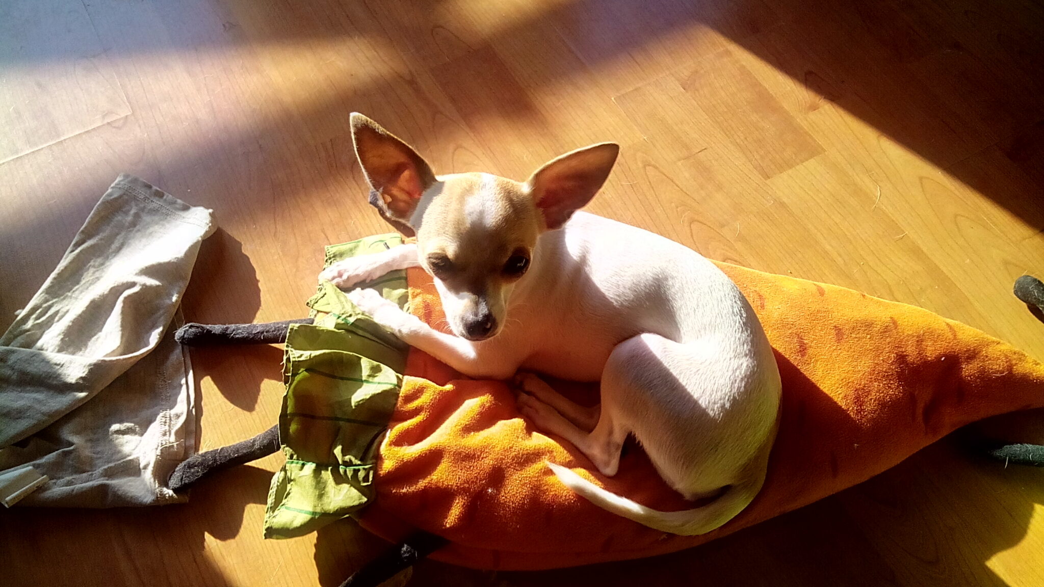 THL 4000 okostelefon - FEKETE