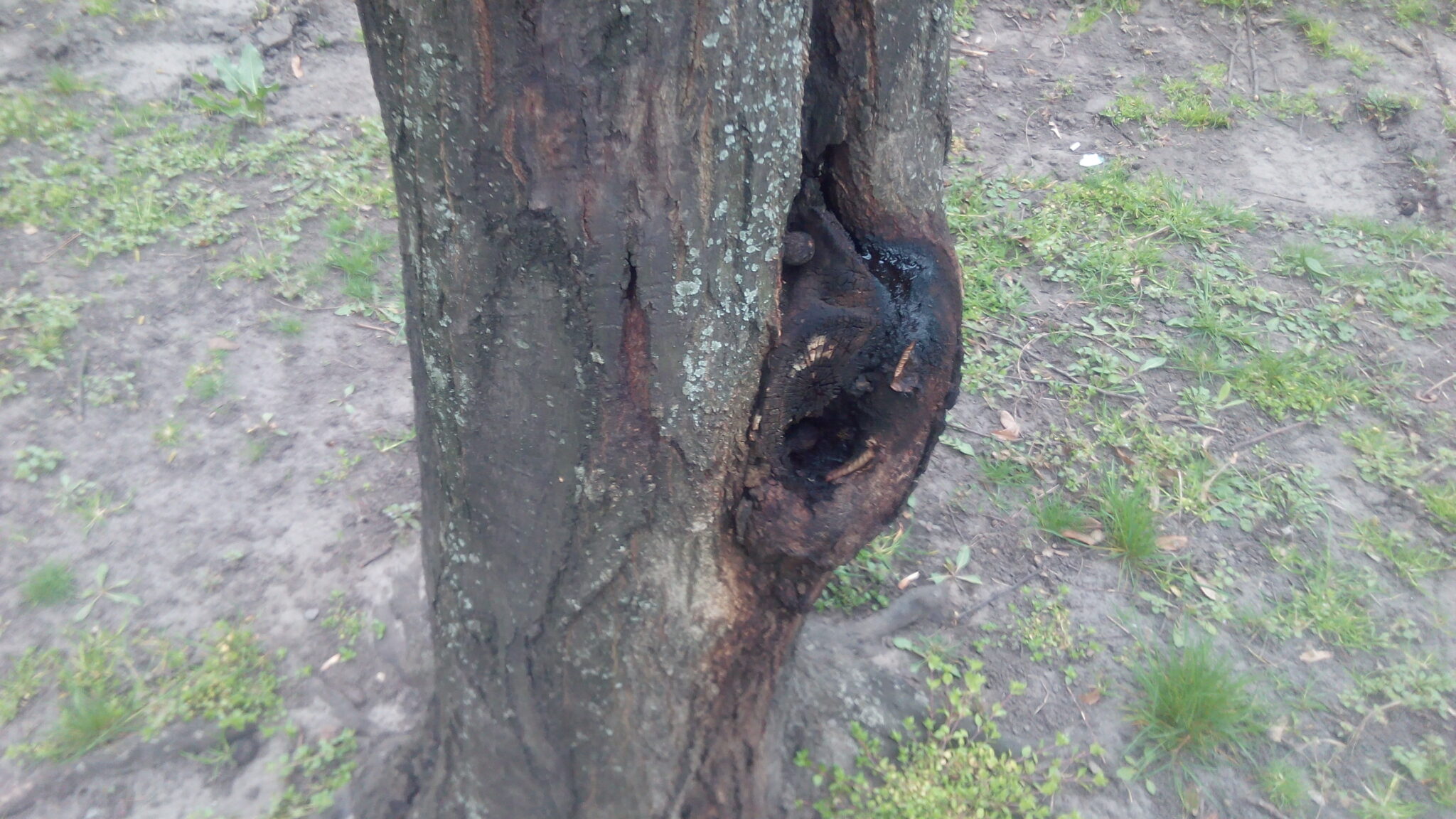 THL T6Pro okostelefon teszt