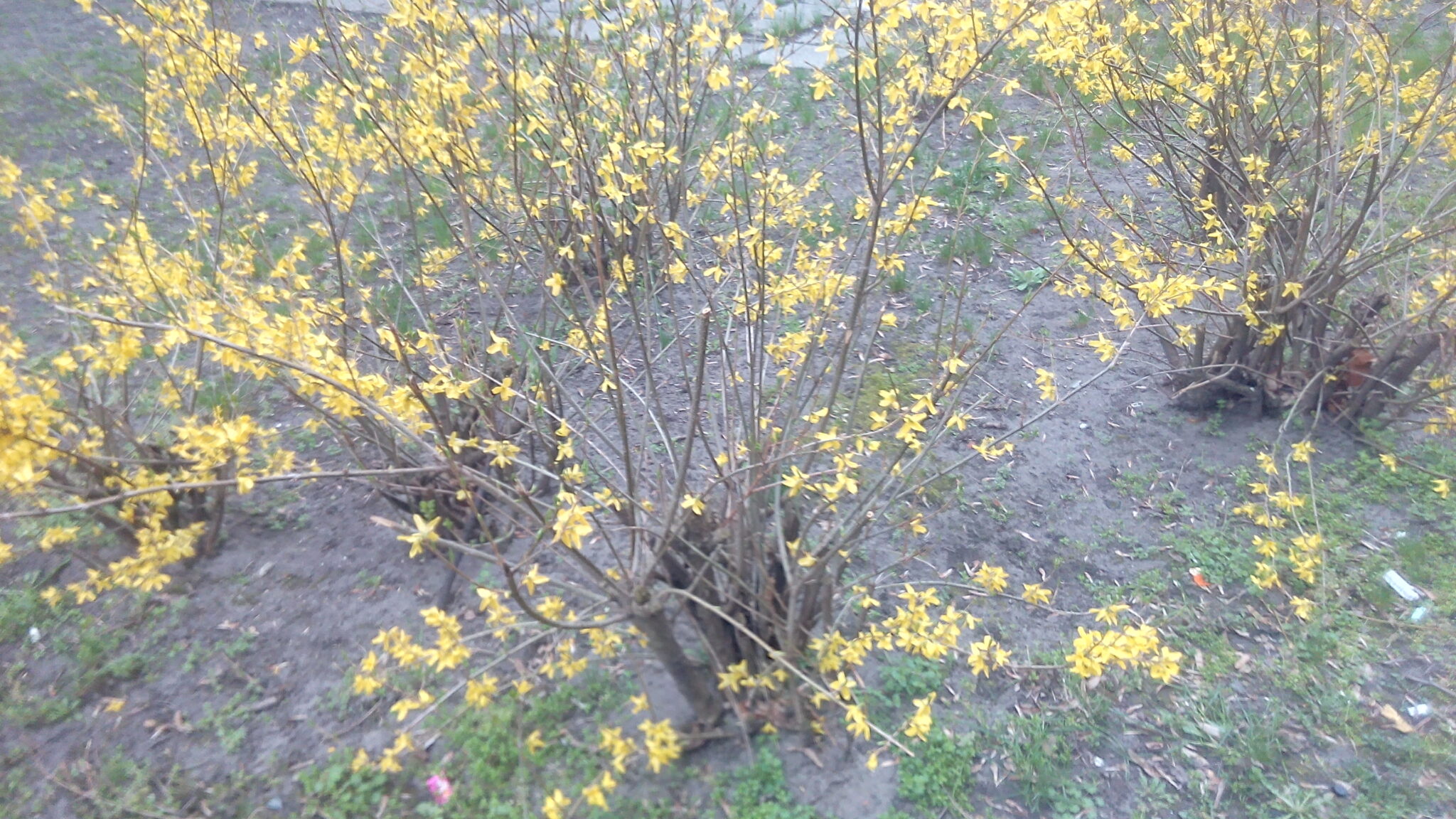 THL T6Pro okostelefon teszt