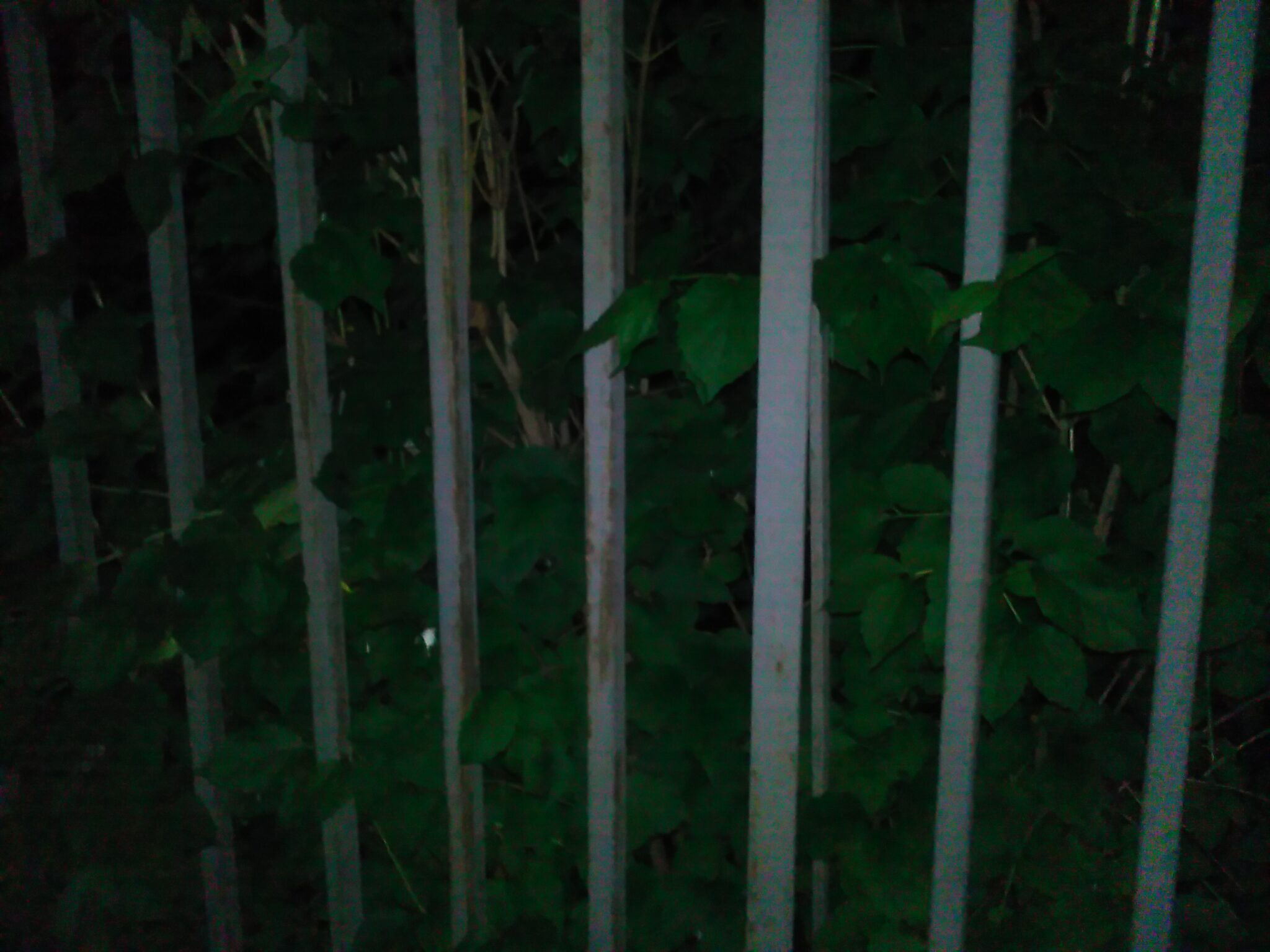 GIGABYTE GSmart Mika MX