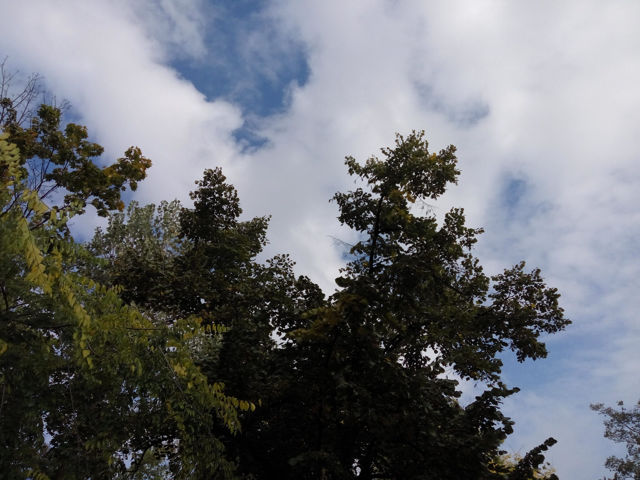 Xiaomi Redmi Note 2 Xiaomi Redmi Note 2