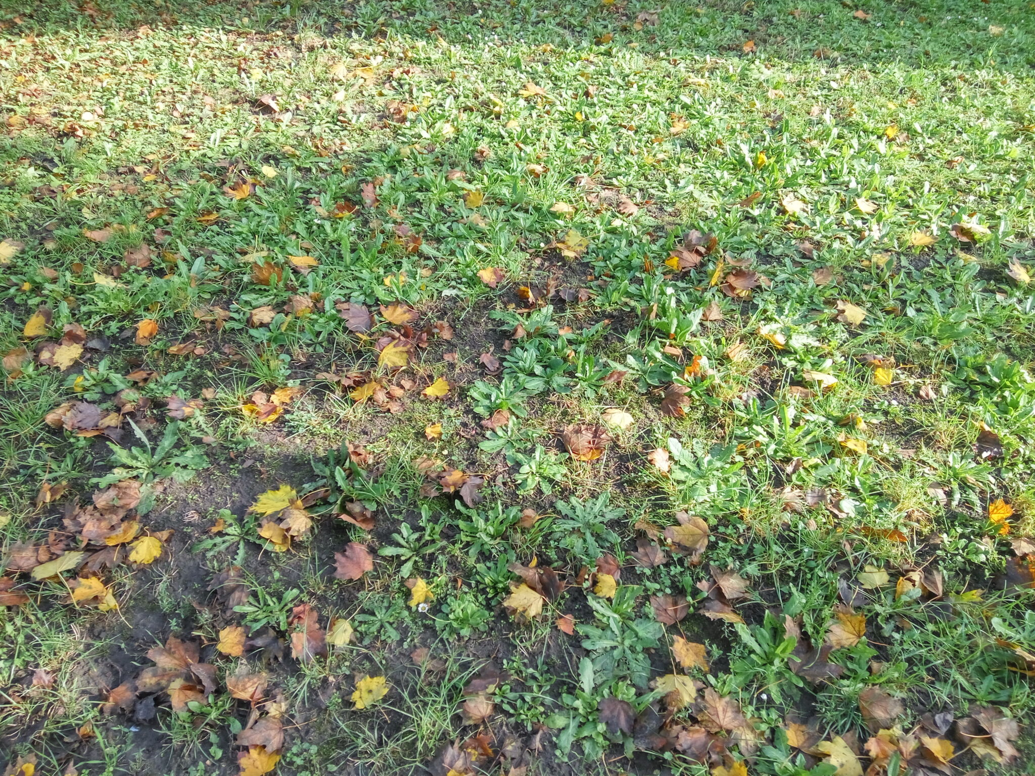 Xiaomi Redmi Note 2 Xiaomi Redmi Note 2