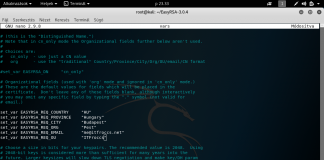 OpenVPN crt, key, dh generálása Ubuntu 18.04 LTS, vagy újabb Debian alapú rendszeren OpenVPN crt, key, dh generálása Ubuntu 18.04 LTS, vagy újabb Debian alapú rendszeren